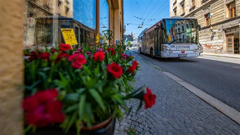 Revoluce v jihlavské MHD. Na přelomu roku vzniknou dvě trolejbusové a jedna autobusová linka, tři budou zrušeny