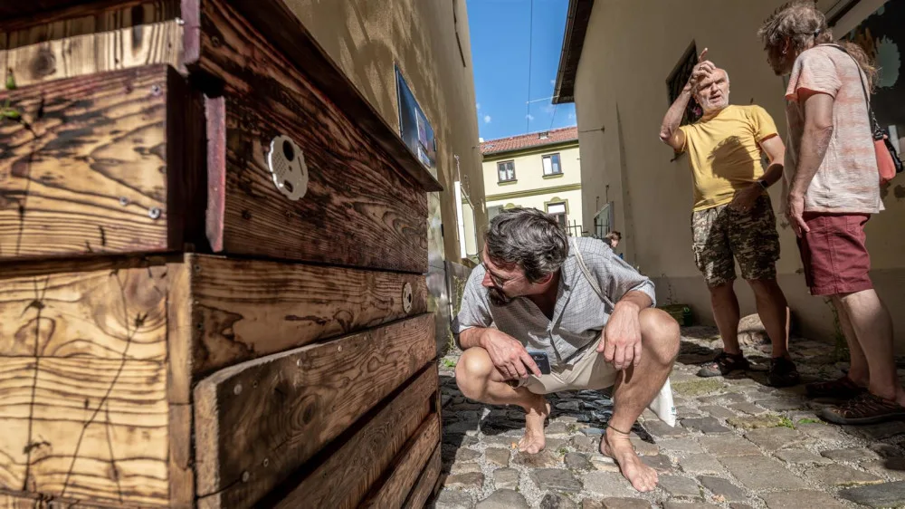 Včely jako umělkyně. V Malé Lazebnické ulici je k vidění výstava Úl v Ji-hlavě, nechybí ani včelí jukebox