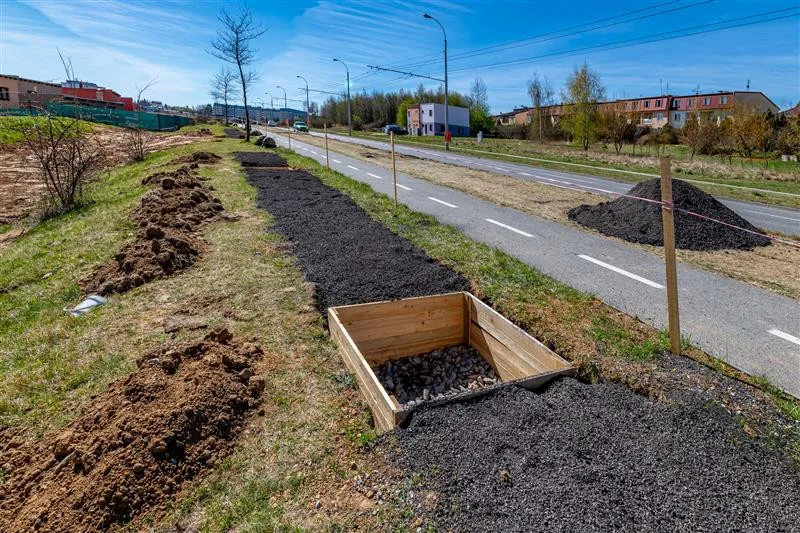 Stromy v Jihlavě se dostaly do finále soutěže. Stejnou metodou se zasadí i u nových bytových domů