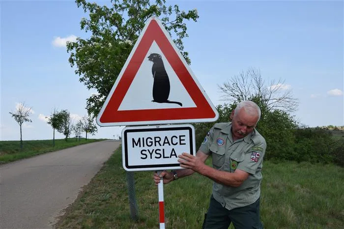 Ilustrační foto