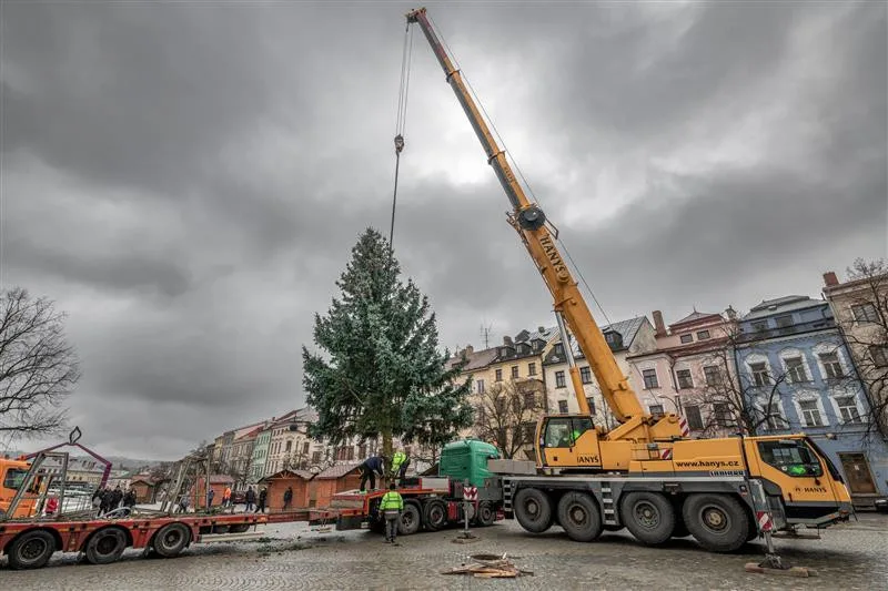 V loňském roce městu věnoval vánoční strom soukromník ze své zahrady na rohu ulic Smrčenská a Mánesova