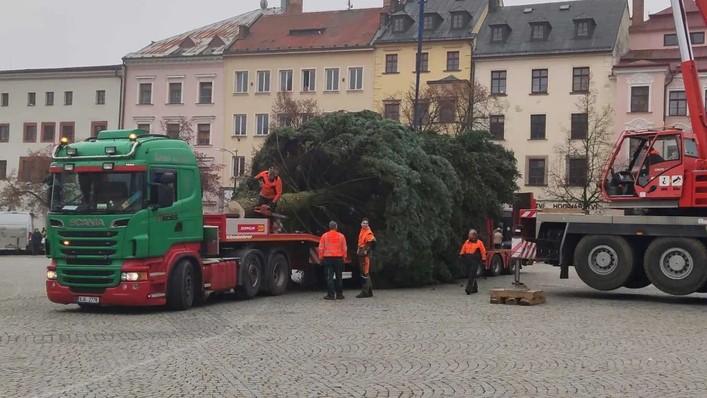 VIDEO: Jihlavský vánoční strom je už na svém místě. Ve středu začne zdobení, rozsvítí se 27. listopadu