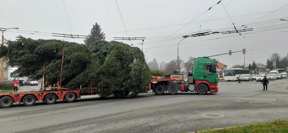 VIDEO: Jihlavský vánoční strom je už na svém místě. Podívejte se na jeho převoz na náměstí