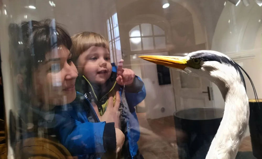 Muzeum v Telči