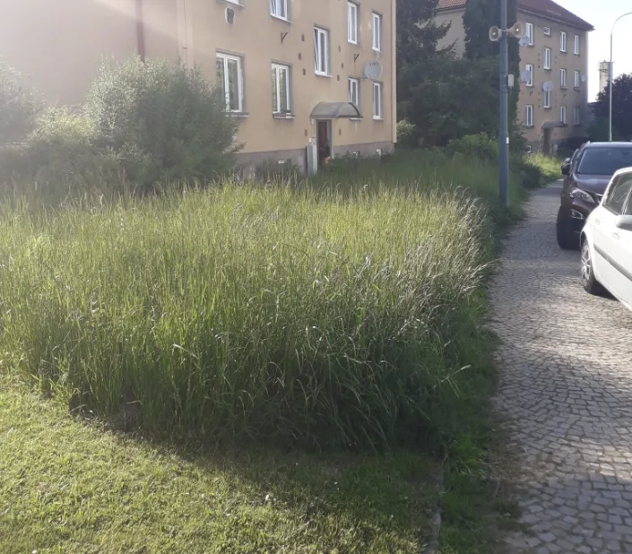Jihlavané si stěžují na neposekanou trávu, najatá firma nestíhá. Už se to nebude opakovat, tvrdí město