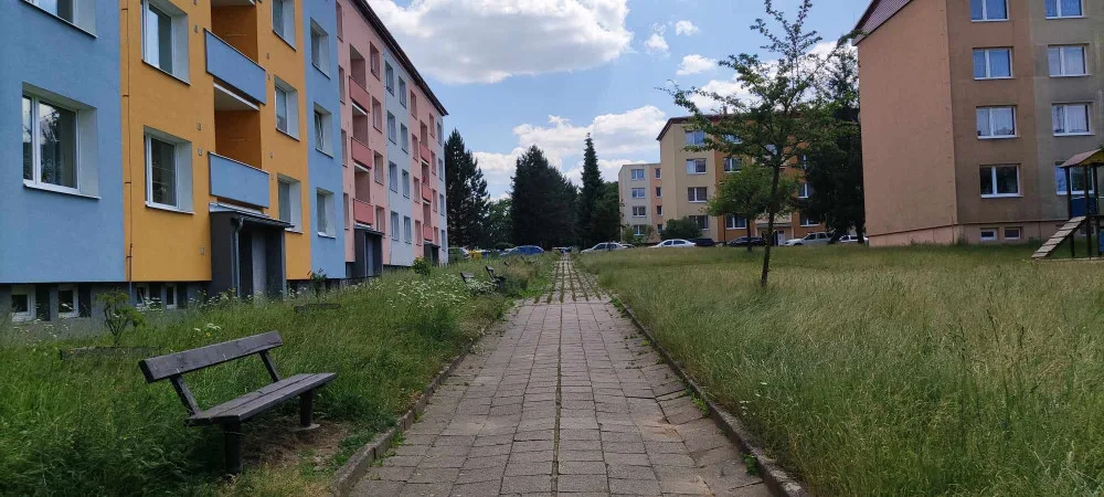 POLITICKÁ KORIDA: Prokletá vysoká tráva. Kde se stala největší chyba?