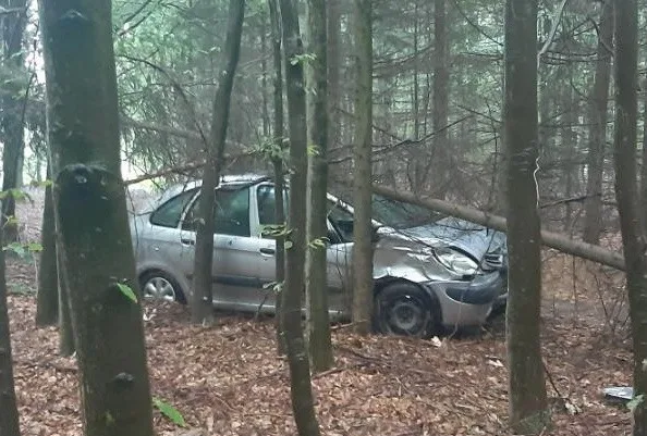 Muž se zákazem řídil auto bez registrační značky. Pod vlivem alkoholu ujížděl hlídce a narazil do stromu