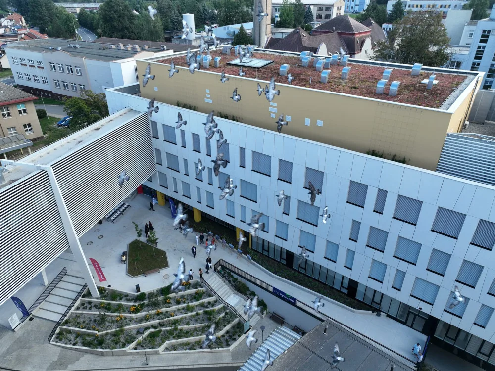FOTO: Pelhřimovská nemocnice má nový Pavilon péče o rodinu. Podívejte se, jak to uvnitř vypadá