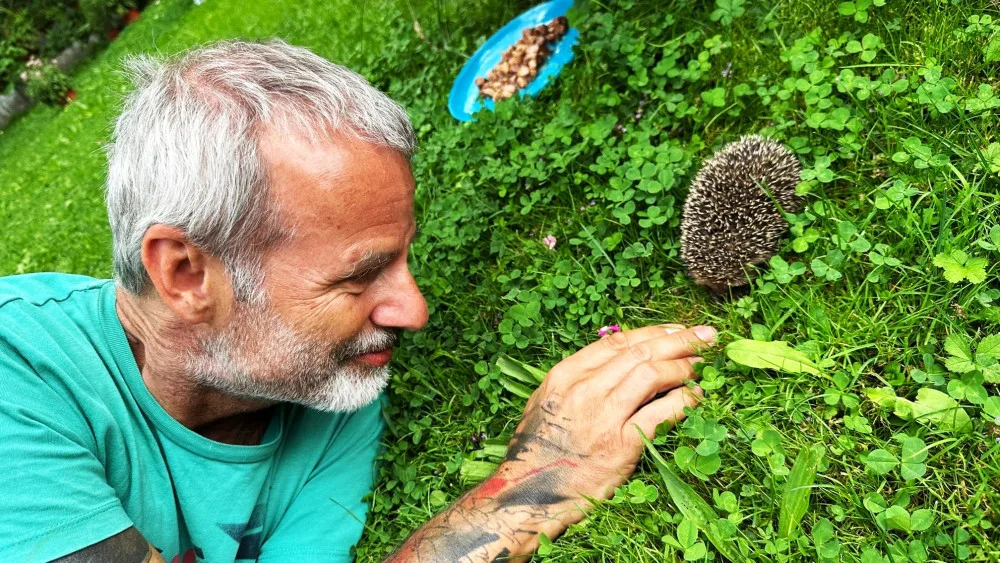 Ježkům se u nás na zahradě líbí a nám se líbí jejich společnost