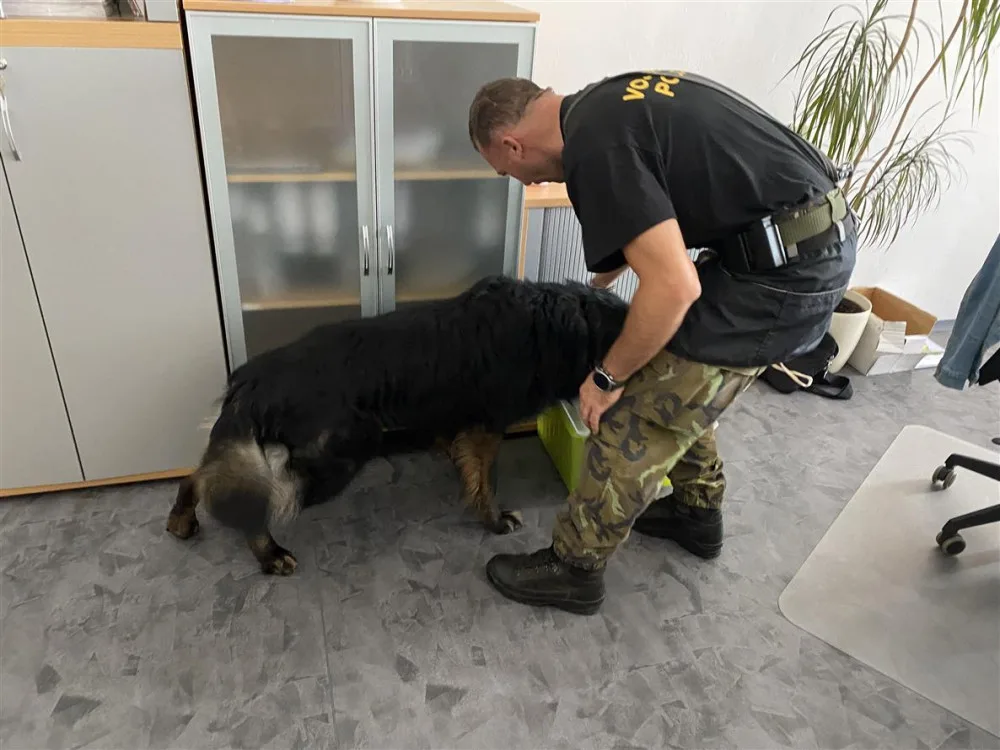 FOTO: Třebíčskou radnici navštívili čtyři psi. Úkol najít výbušniny splnili na jedničku