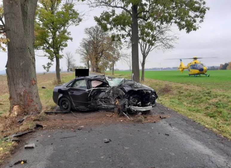 Dvacetiletý řidič dostal smyk a s autem narazil do stromu. Na místo letěl i záchranářský vrtulník