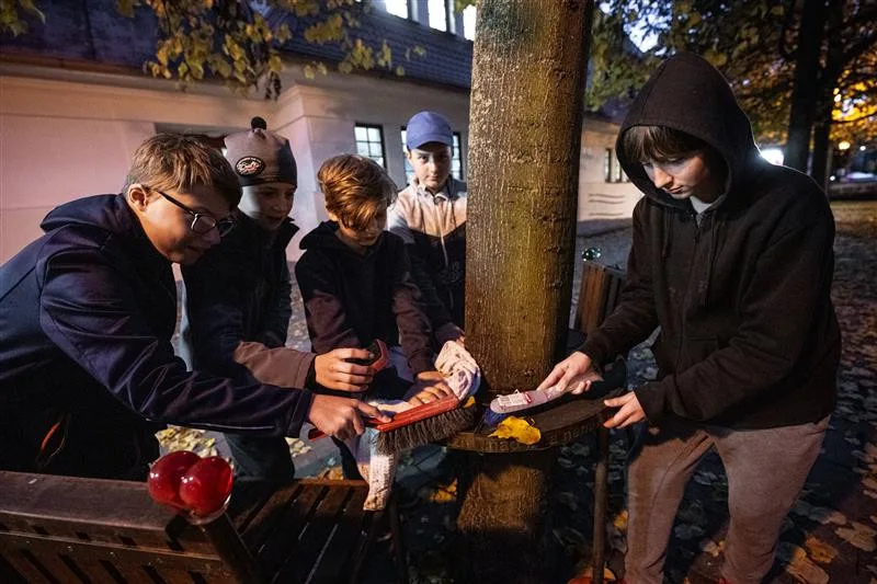 Jihlavští skauti prodloužili patronát nad lavičkou Václava Havla. Každou středu ji chodí kontrolovat