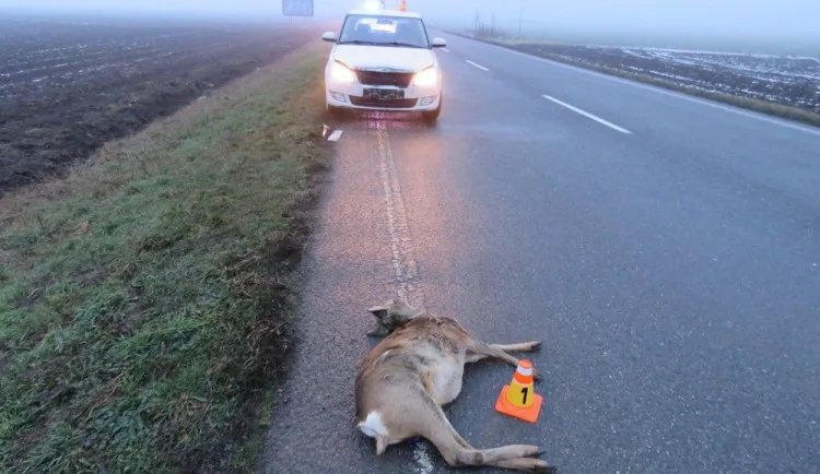 Ilustrační foto.