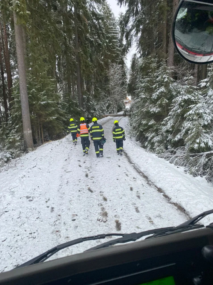 Sněhová kalamita na Vysočině. Doprava kolabuje, silnice jsou nesjízdné, v Humpolci spadl na muže strom