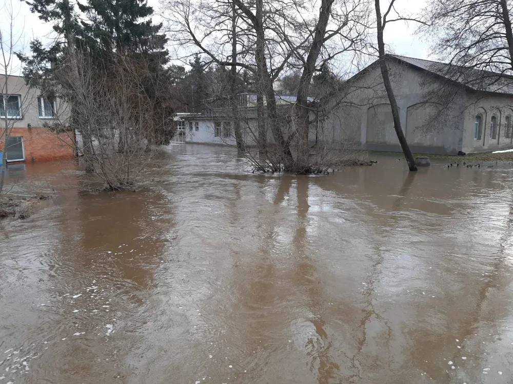 Štědrý den očima hasičů: Popadané stromy, požár ze svíček, zatopené sklepy, povodeň v Dobroníně