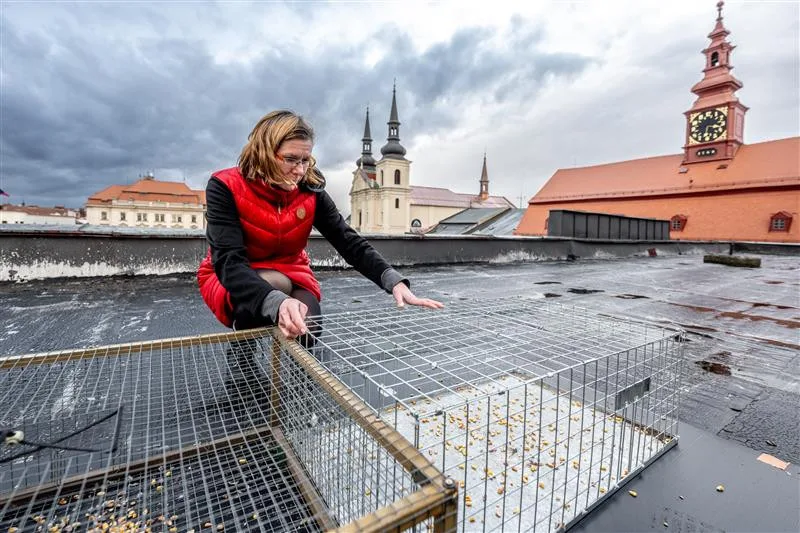 Ilustrační foto