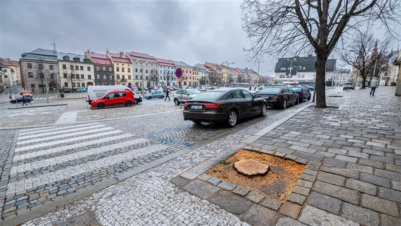 zuška