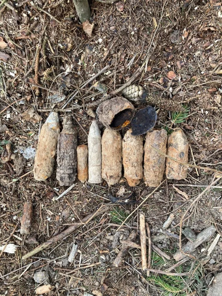 Nález munice na Havlíčkobrodsku zaměstnal pyrotechnika.