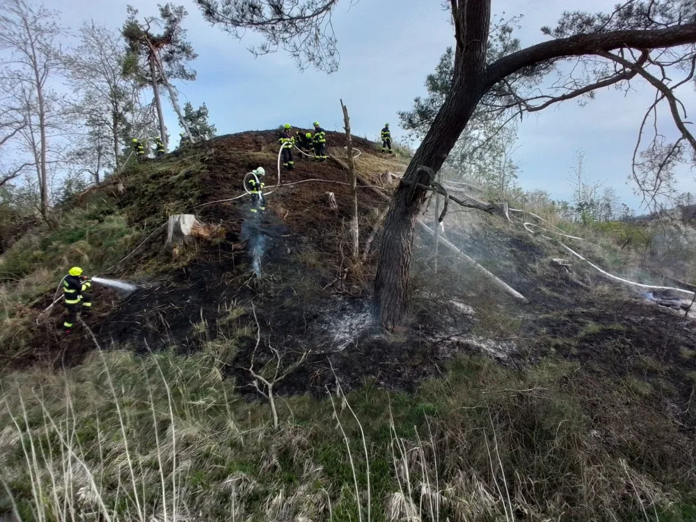 FOTO: Hasiče na Vysočině dnes zaměstnaly požáry trávy a mladých stromků. Podívejte se, jak zasahovali