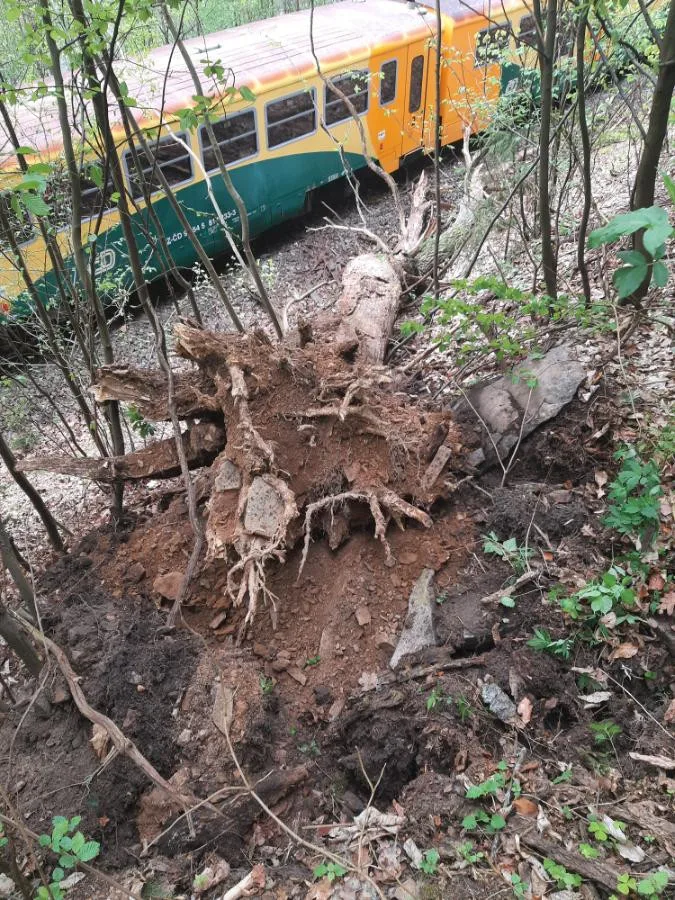Strojvedoucí nezvládl zabrzdit. Vlak s patnácti cestujícími na Žďársku narazil do stromu