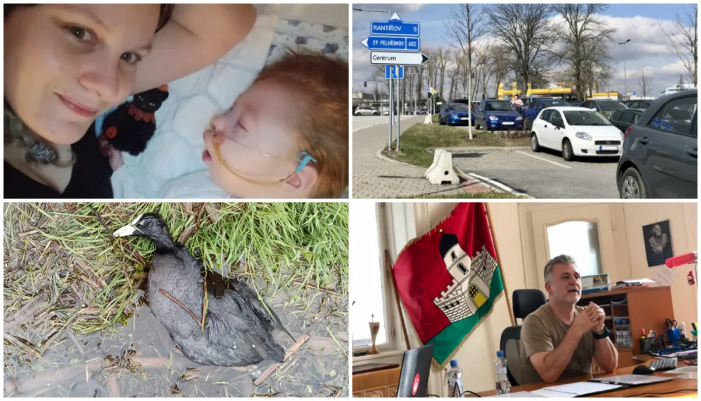 DUBEN NA DRBNĚ: (Ne)obyčejná maminka, parkování v Jihlavě, žáci útočící na kachny, neshody v Jeníkově
