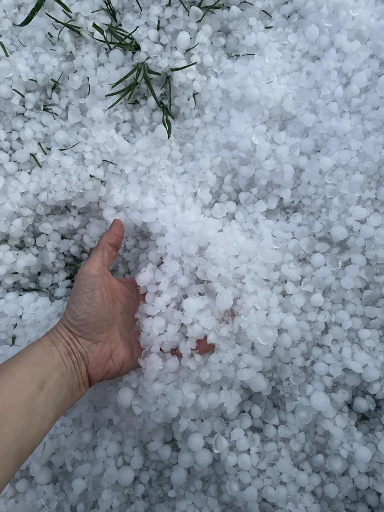 Bílo na Jihlavsku. Divoký závěr víkendu, zahrádkáři sčítají škody po supercelární bouři a kropobití, foto: Julie Pádivá