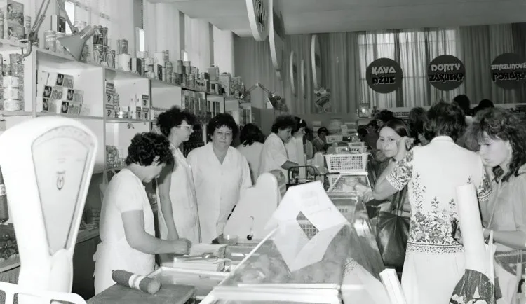 Země žívitelka v roce 1980