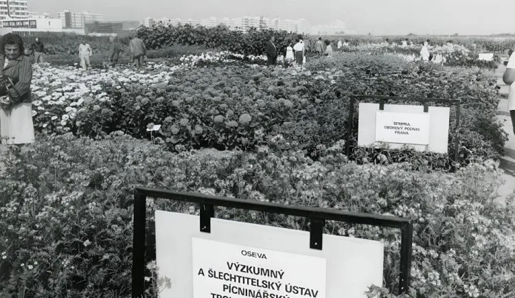 Pokusná políčka v roce 1985