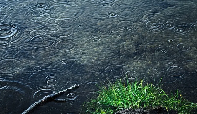 Ilustační foto. Foto: pixabay.com