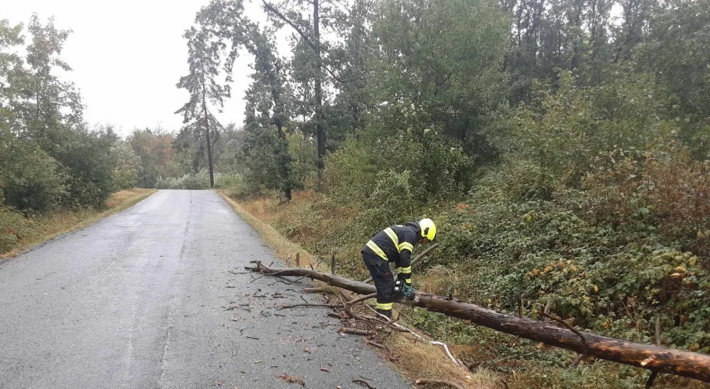 FOTO: Spadlé stromy na Vysočině zastavily vlaky, na Sázavě hrozí třetí povodňový stupeň