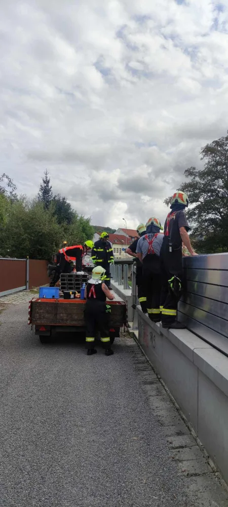 FOTO: Spadlé stromy na Vysočině zastavily vlaky, na Sázavě hrozí třetí povodňový stupeň