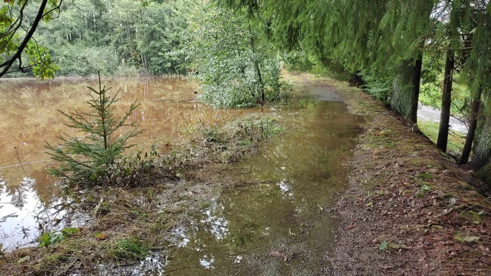 V Třešti se protrhla hráz rybníka, ohrožená je přilehlá chatová oblast. Na místě jsou teď hasiči