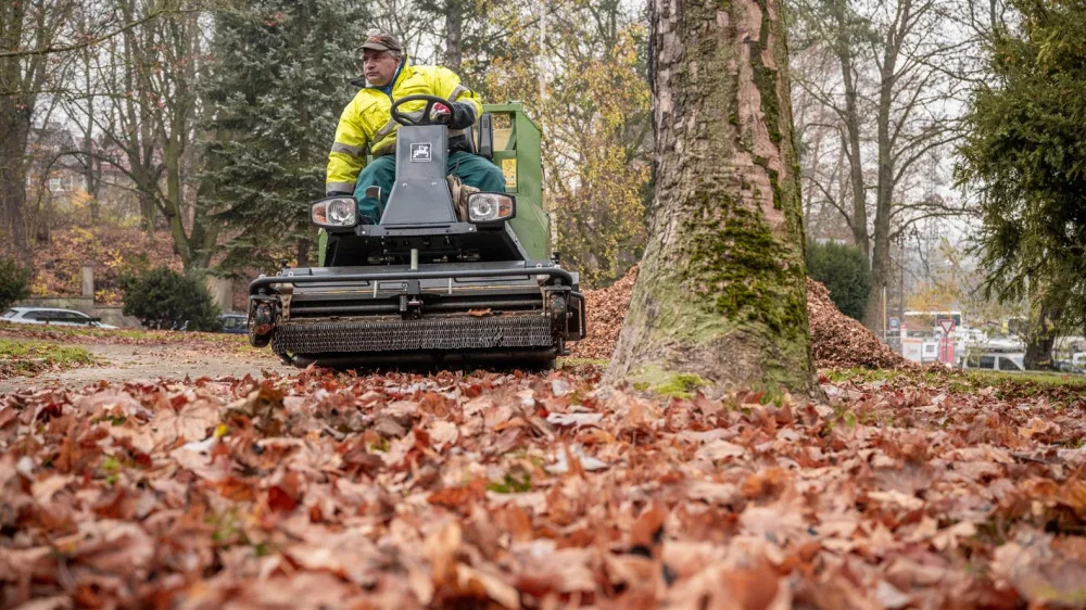 Pracovníci správy zeleně pracují celý rok. Místo sekání trávy nyní v Jihlavě uklízí listí. Foto: Se svolením Města Jihlava