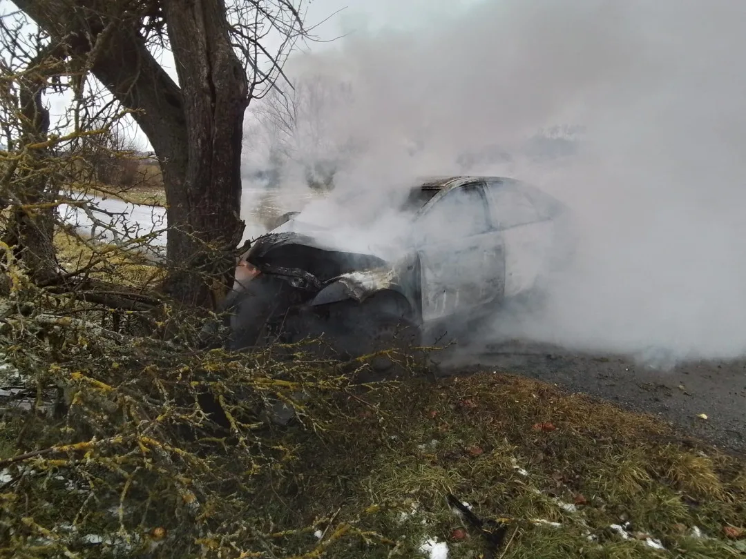 Auto u Krahulova skončilo po nárazu do stromu v plamenech. Na místě jsou záchranáři. Foto: Se svolením HZS Kraje Vysočina