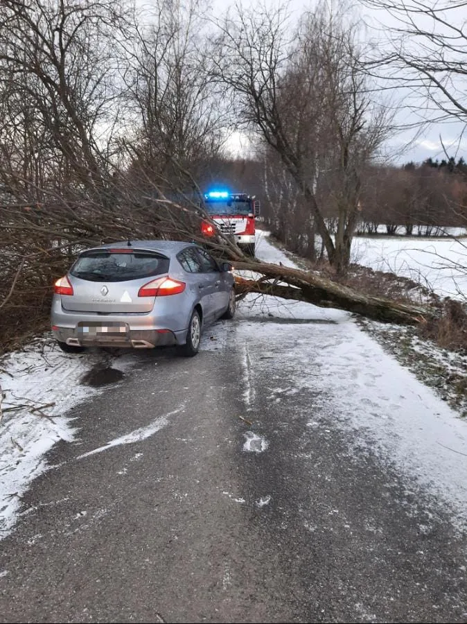 FOTO: Hasiče na Vysočině zaměstnal silný vítr. Jeden z řidičů narazil do spadlého stromu