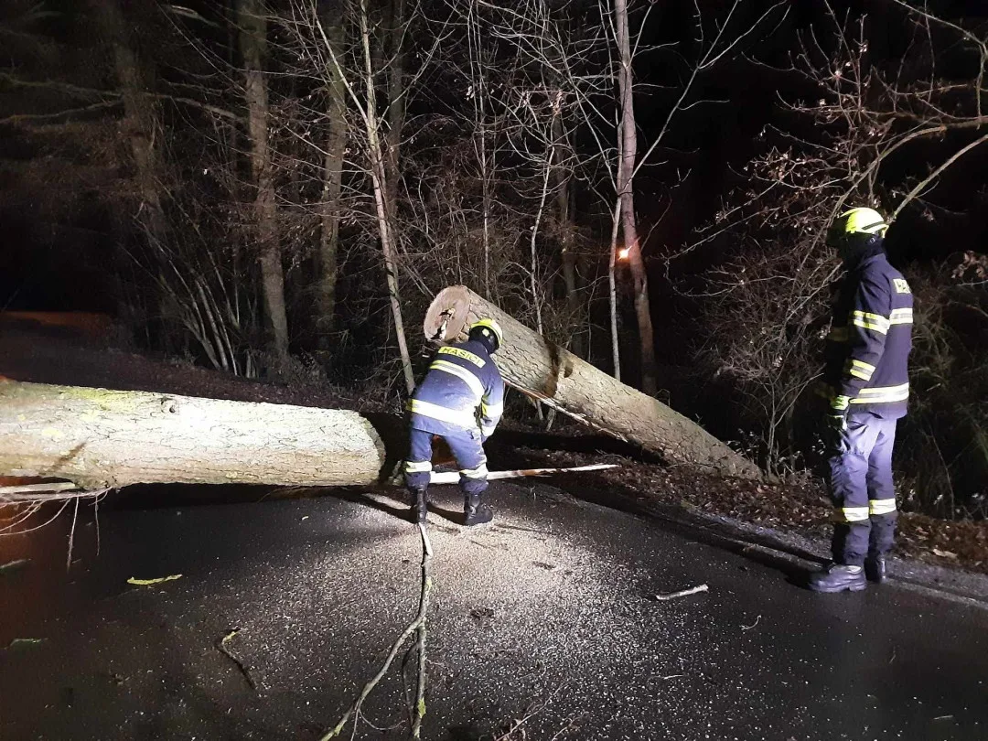 FOTO: Hasiče na Vysočině zaměstnal silný vítr. Jeden z řidičů narazil do spadlého stromu