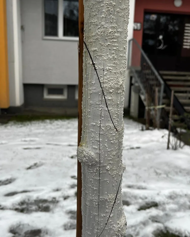 FOTO: Vandalismus ve Žďáru nad Sázavou. Někdo zde záměrně ničí stromy, do případu už se vložila policie