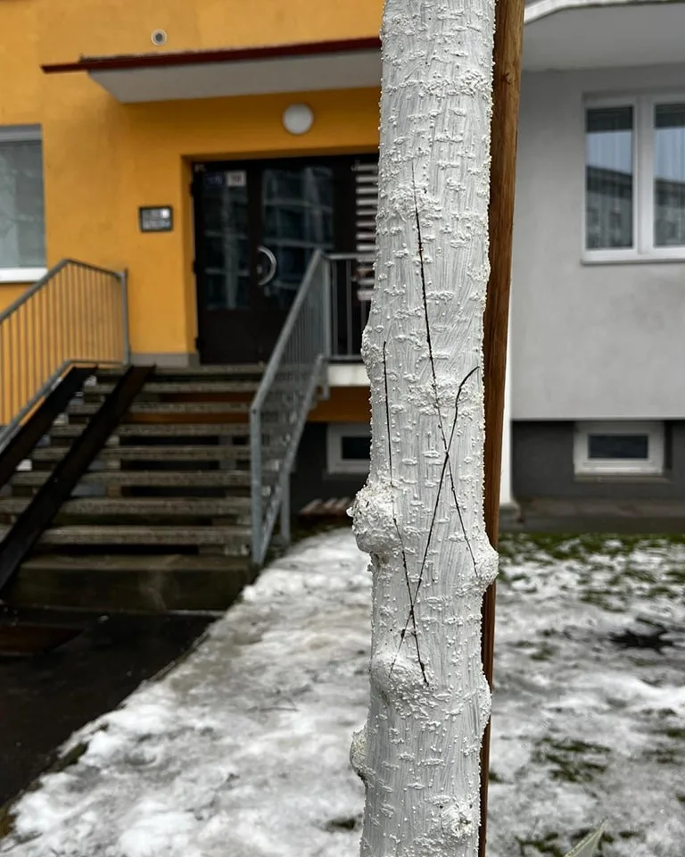 FOTO: Vandalismus ve Žďáru nad Sázavou. Někdo zde záměrně ničí stromy, do případu už se vložila policie