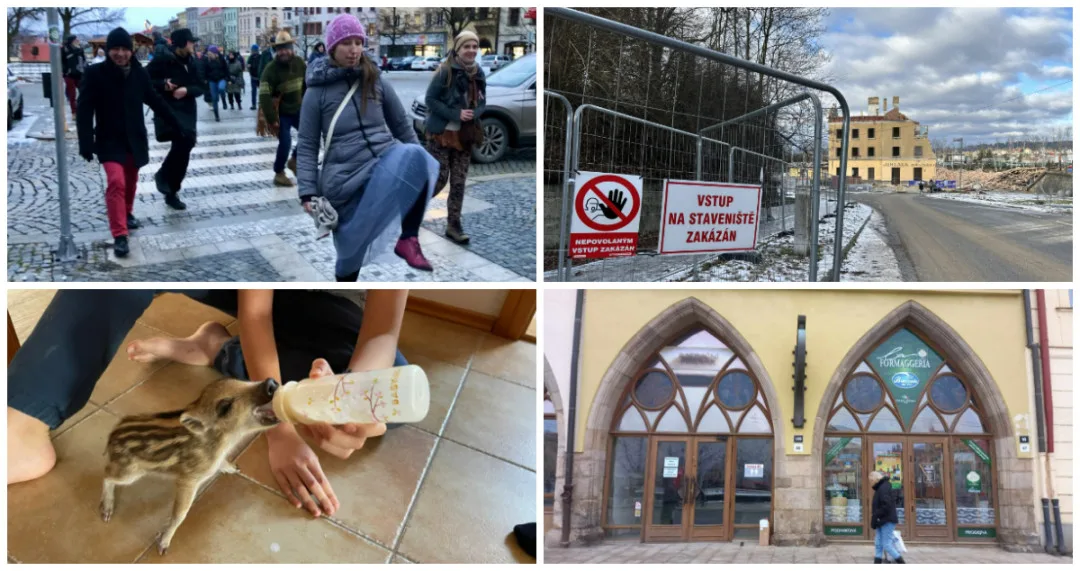 LEDEN NA DRBNĚ: Švihlá chůze v Jihlavě, demolice na nádraží, prasátko Boženka, Radniční znovu ožije