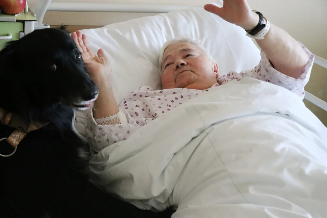 Za pacienty do novoměstské nemocnice chodí čtyřnohý lékař lidských duší. Foto: Se svolením Nemocnice Nové Město na Moravě