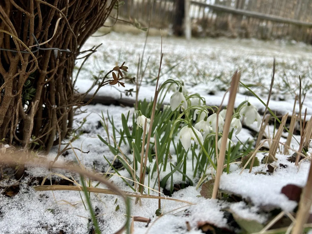Meteorologové: Po chladném začátku týdne se začne oteplovat, o víkendu naměříme až 18 stupňů