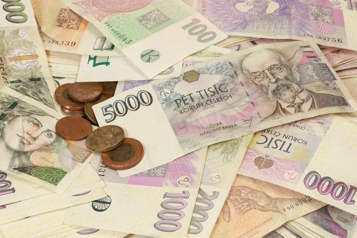 Zemědělské ceny prudce vzrostly: Největší zdražení u vajec a skotu