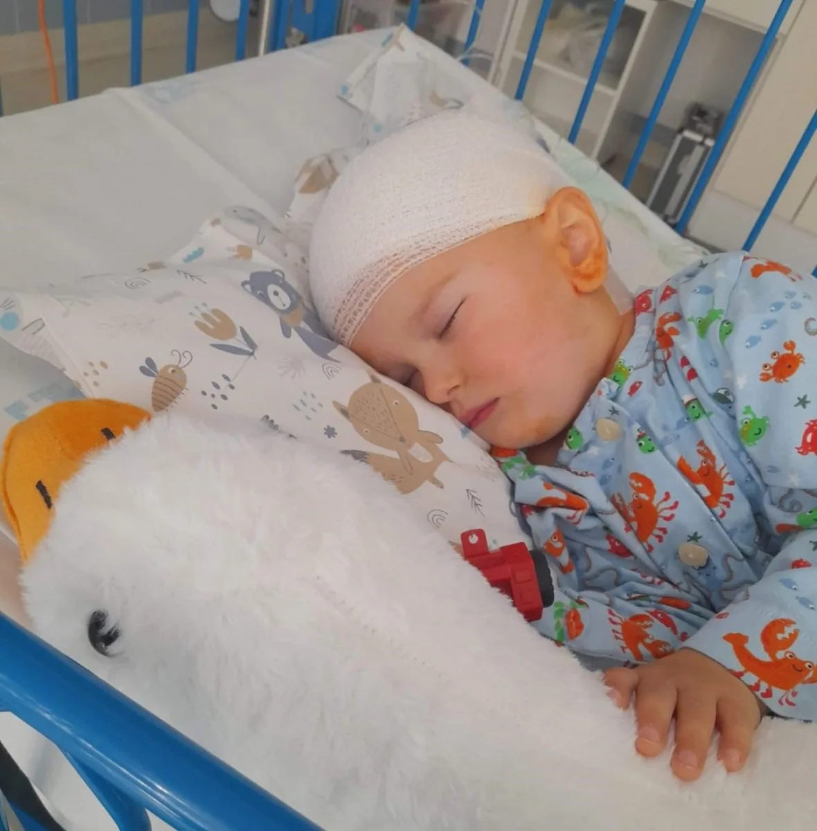 Lidé nejen v Třešti po celý duben běhají pro malého Janka, který je onkologickým pacientem