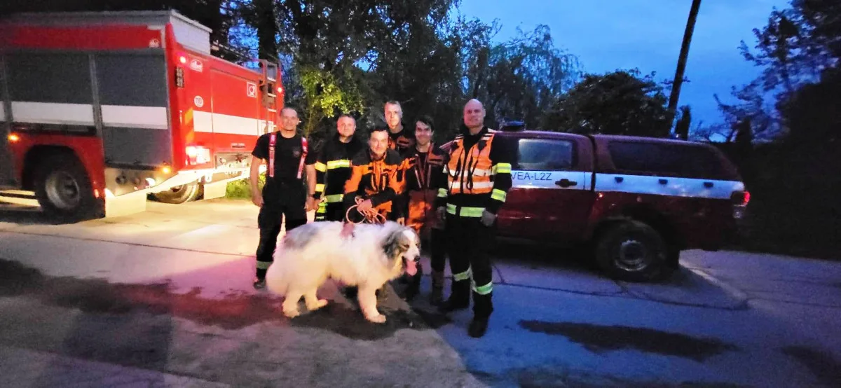 Hasiči na Žďársku vytáhli psa z kamenolomu. Chlapi, děkuji mnohokrát, říká majitelka