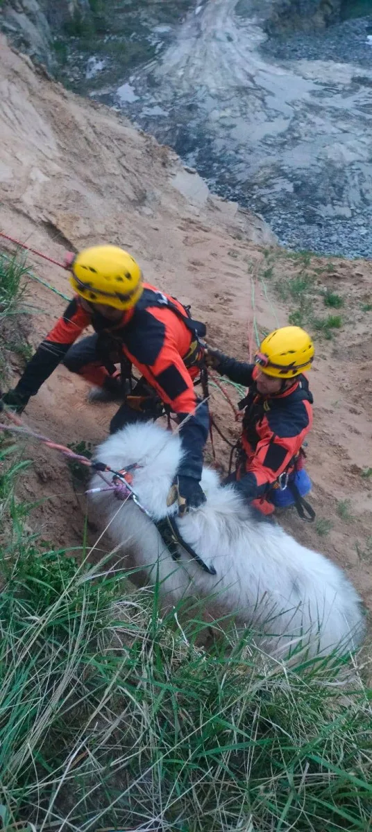Hasiči na Žďársku vytáhli psa z kamenolomu. Chlapi, děkuji mnohokrát, říká majitelka