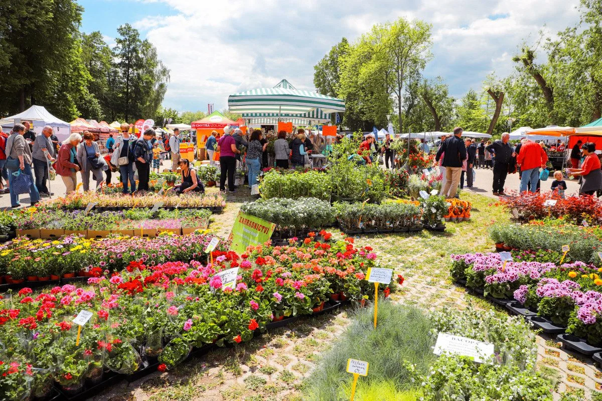 Vyhrajte vstupenky na výstavy Hobby a Czech Food Expo