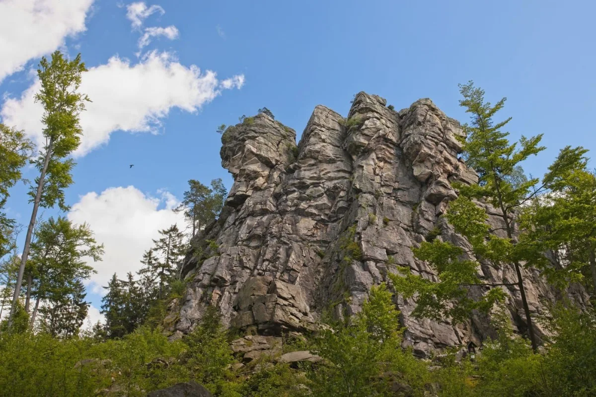 Ve Žďárských vrších mají sokoli dvě mláďata, předtím tam nehnízdili desítky let