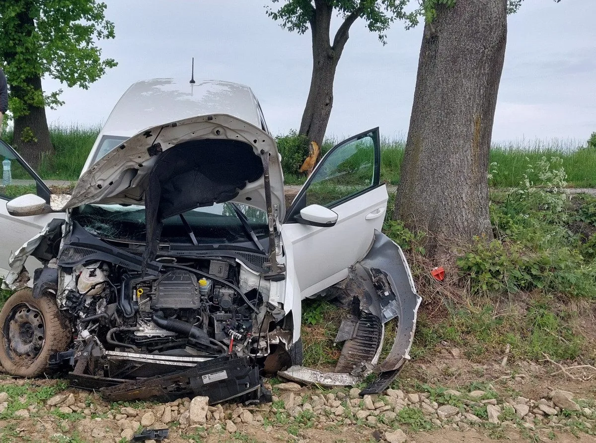 Řidička se nevěnovala řízení, po nárazu do stromu zničila svojí Škodu Fabia. Foto: Se svolením Policie ČR