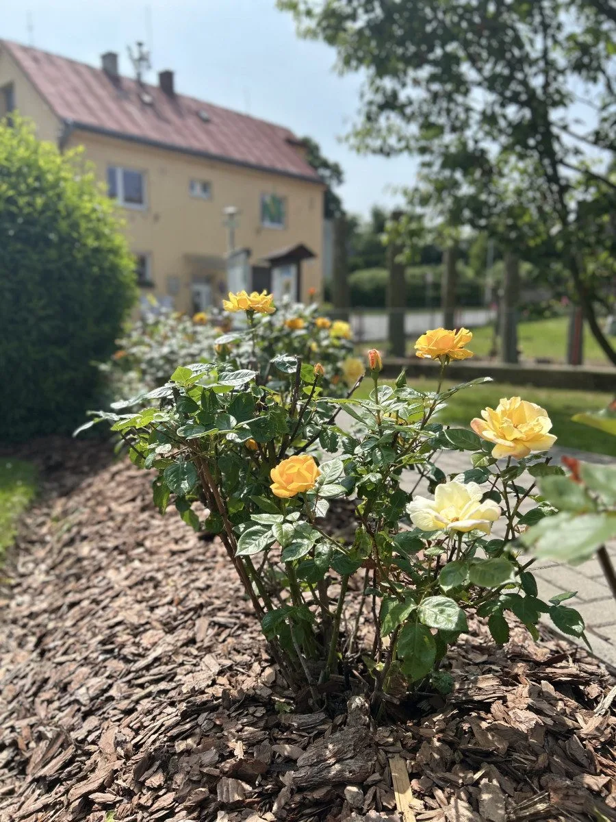 Obec Cejle, která získala ve Vesnici roku Zelenou stuhu, foto: Lenka Dvořáková