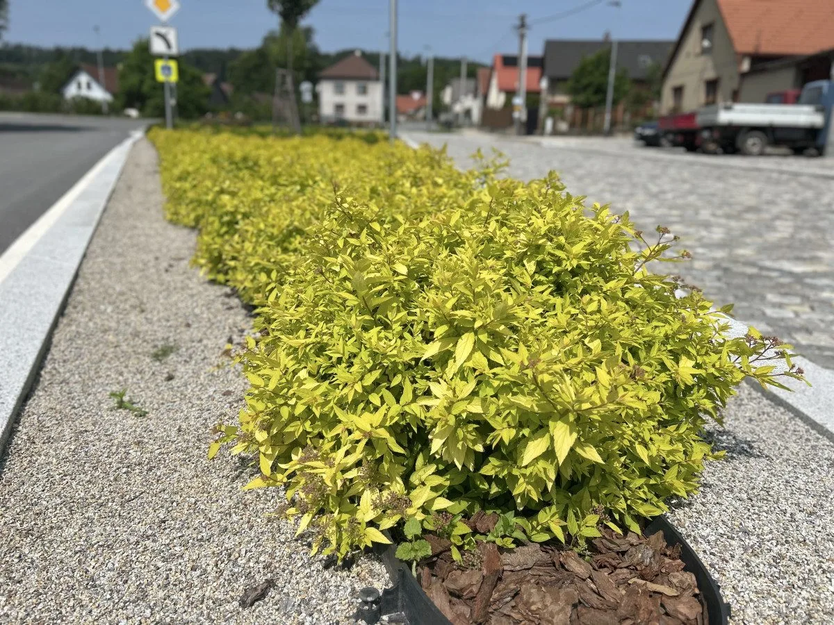 Obec Cejle, která získala ve Vesnici roku Zelenou stuhu, foto: Lenka Dvořáková